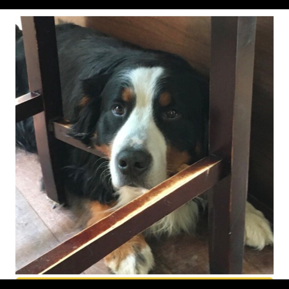 Meet your Posher, Ti